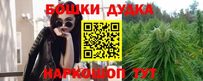 тгк Гатчина