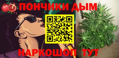 молекула духа Гагарин