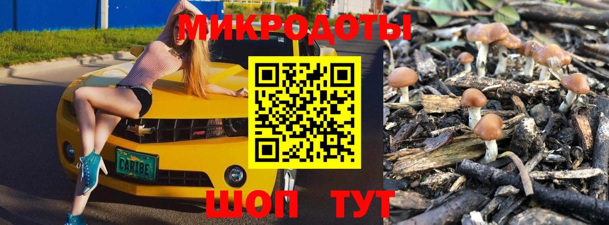 Галлюциногенные грибы Psilocybe Нефтекумск