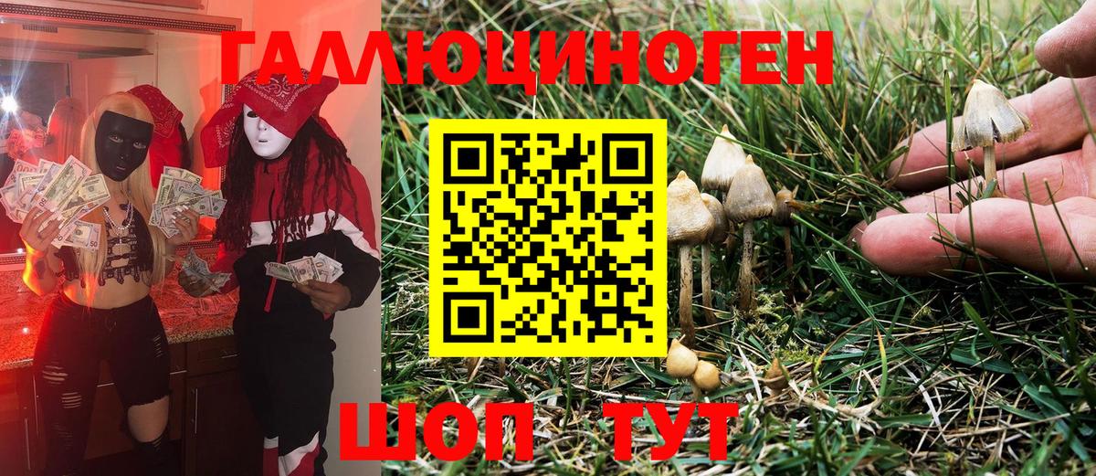 Нефтекумск  Галлюциногенные грибы Magic Shrooms  Галлюциногенные грибы MAGIC MUSHROOMS  Вход с VPN 
